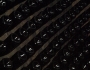 P9095214 (Large)